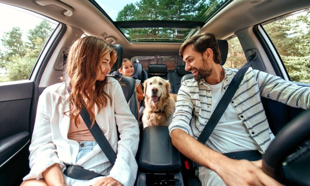 Road Trip Essentials - Family Sitting in a Car Wearing Seatbelts