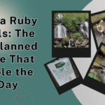 Anna Ruby Falls: The Unplanned Hike That Stole the Day