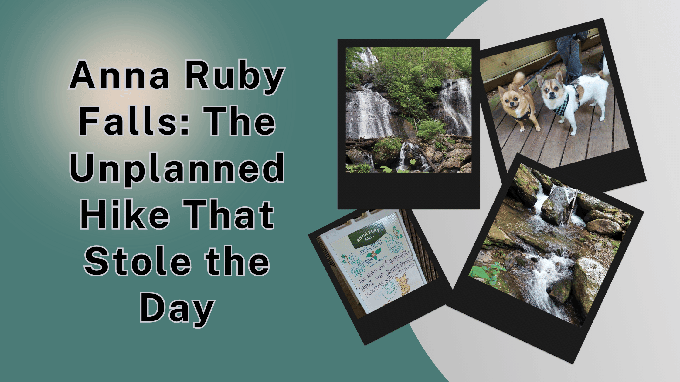 Anna Ruby Falls_ The Unplanned Hike That Stole the Day