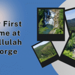 My First Time at Tallulah Gorge: Stairs, Rim Trails, and Why We Missed Most of the Trail
